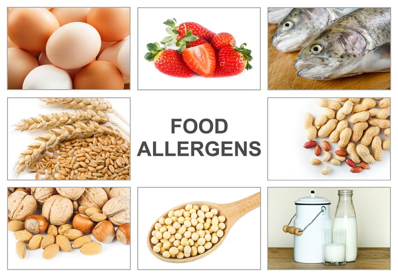 What are the 8 Most Common Food Allergies