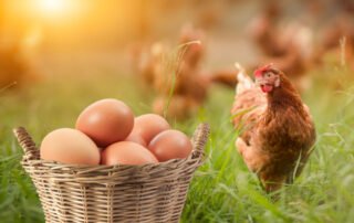 Eating chicken with egg allergies in Atlanta