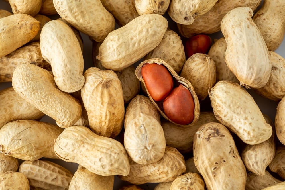 Atlanta peanut allergy diagnosis.